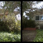 Before and after